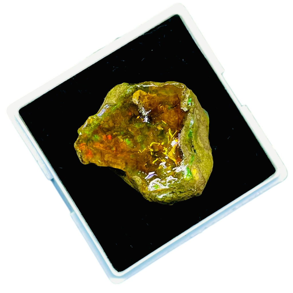 60.55 Cts Natural Ethiopian Opal Rough 31x23mm Huge Multi Fire Loose Gemstone
