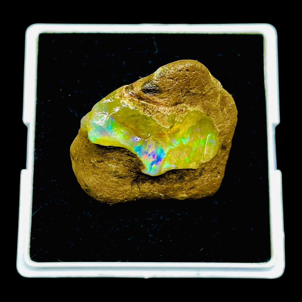 55.20 Cts Natural Ethiopian Opal Rough 32x29mm Huge Multi Fire Loose Gemstone