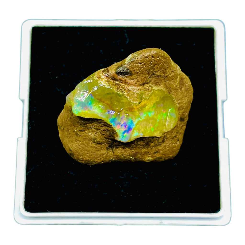 55.20 Cts Natural Ethiopian Opal Rough 32x29mm Huge Multi Fire Loose Gemstone