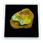 55.20 Cts Natural Ethiopian Opal Rough 32x29mm Huge Multi Fire Loose Gemstone