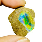 55.20 Cts Natural Ethiopian Opal Rough 32x29mm Huge Multi Fire Loose Gemstone