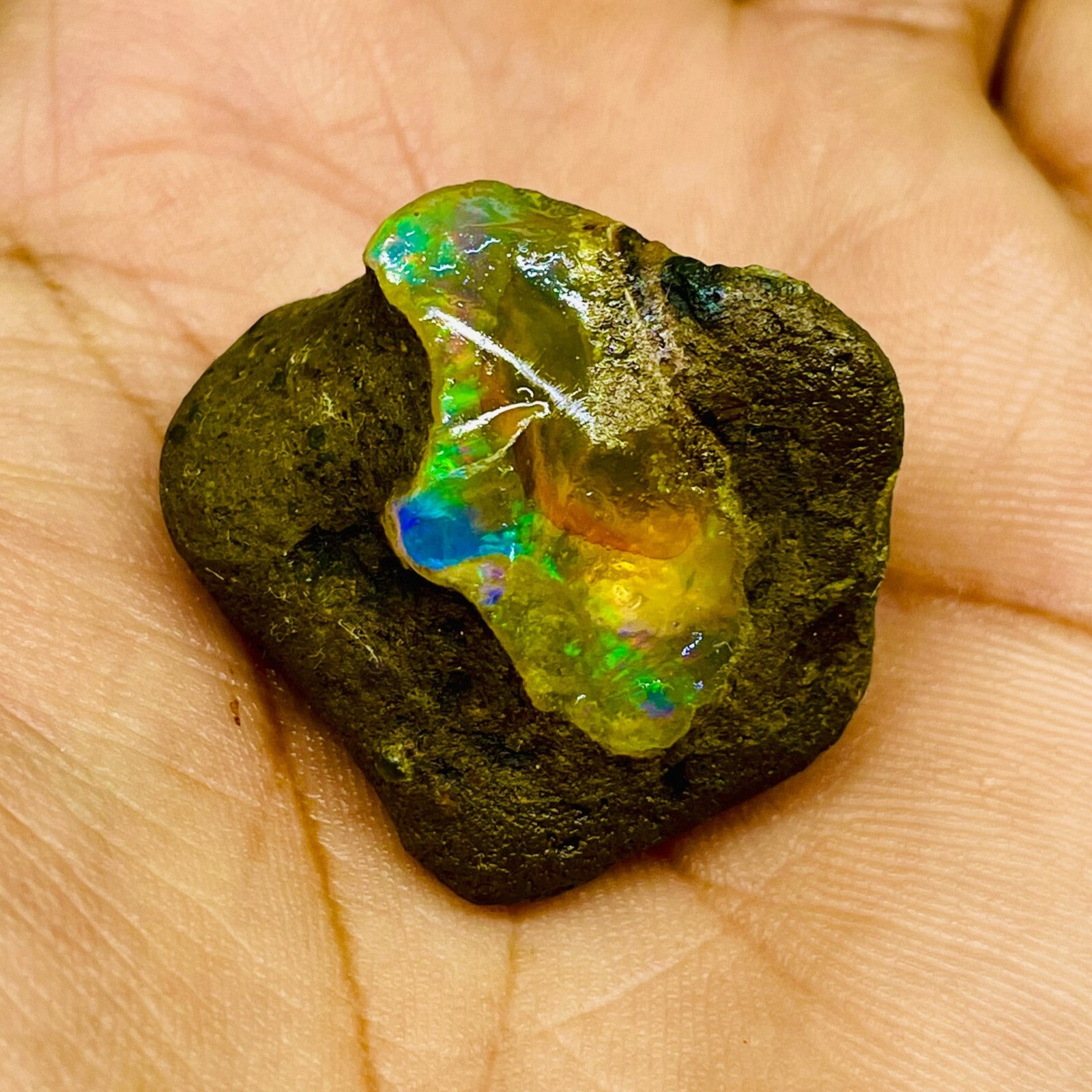 55.20 Cts Natural Ethiopian Opal Rough 32x29mm Huge Multi Fire Loose Gemstone