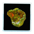 60.55 Cts Natural Ethiopian Opal Rough 31x23mm Huge Multi Fire Loose Gemstone