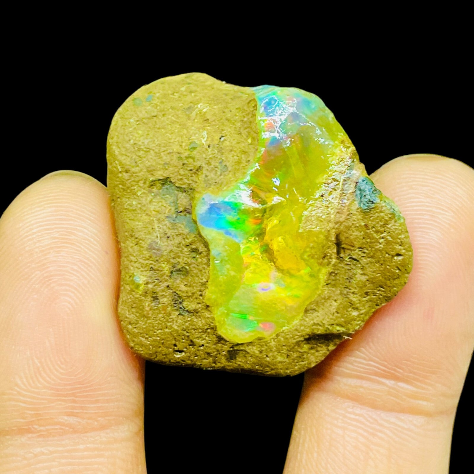 55.20 Cts Natural Ethiopian Opal Rough 32x29mm Huge Multi Fire Loose Gemstone