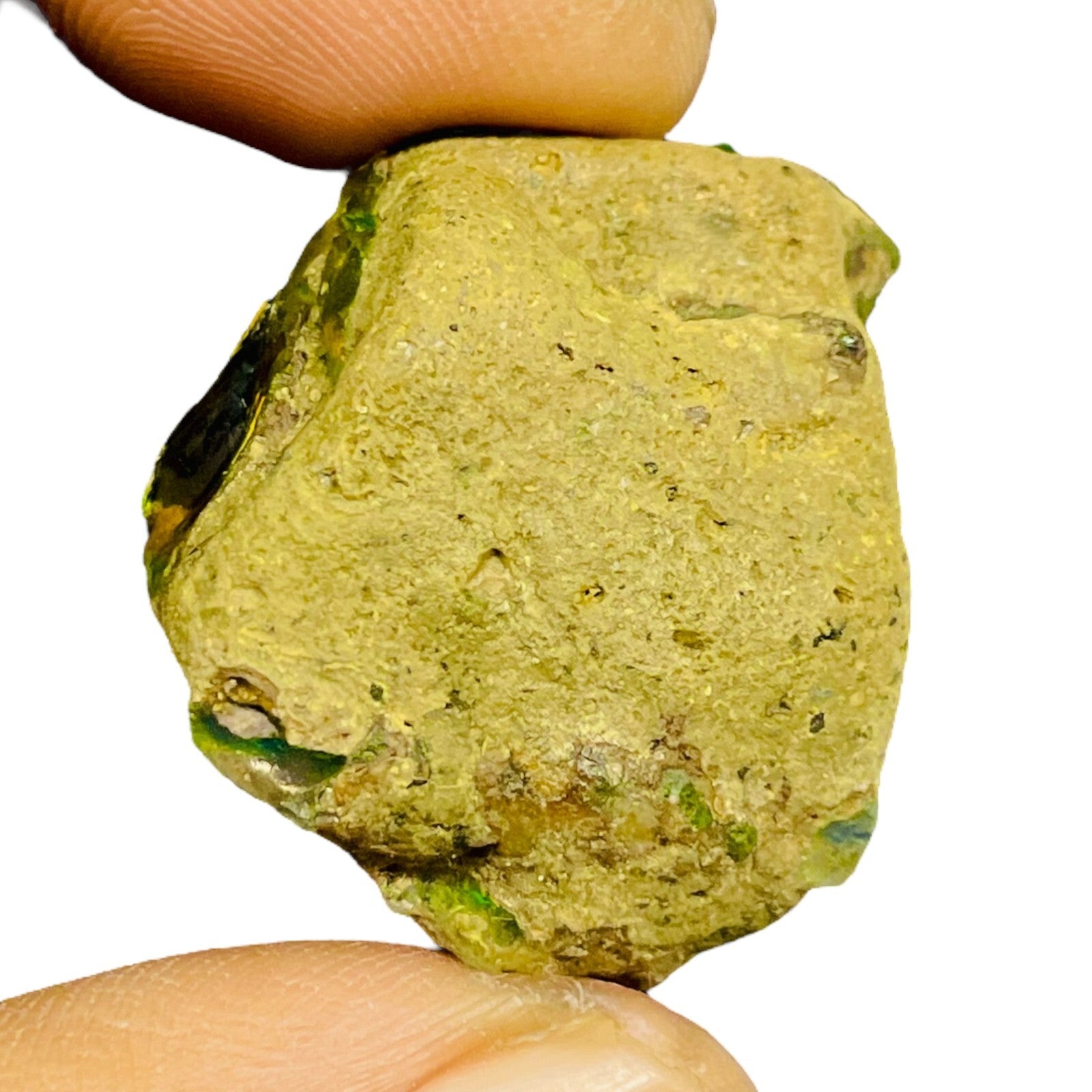 60.55 Cts Natural Ethiopian Opal Rough 31x23mm Huge Multi Fire Loose Gemstone