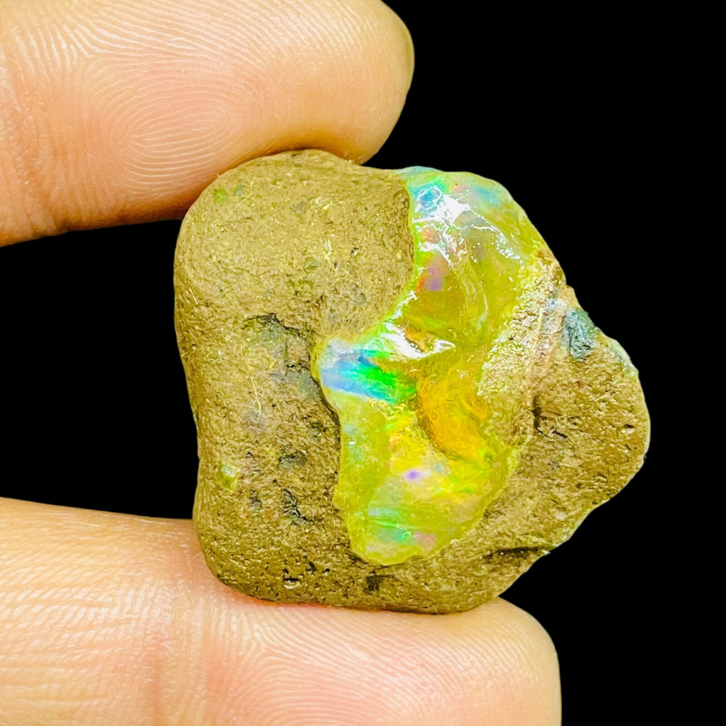 55.20 Cts Natural Ethiopian Opal Rough 32x29mm Huge Multi Fire Loose Gemstone