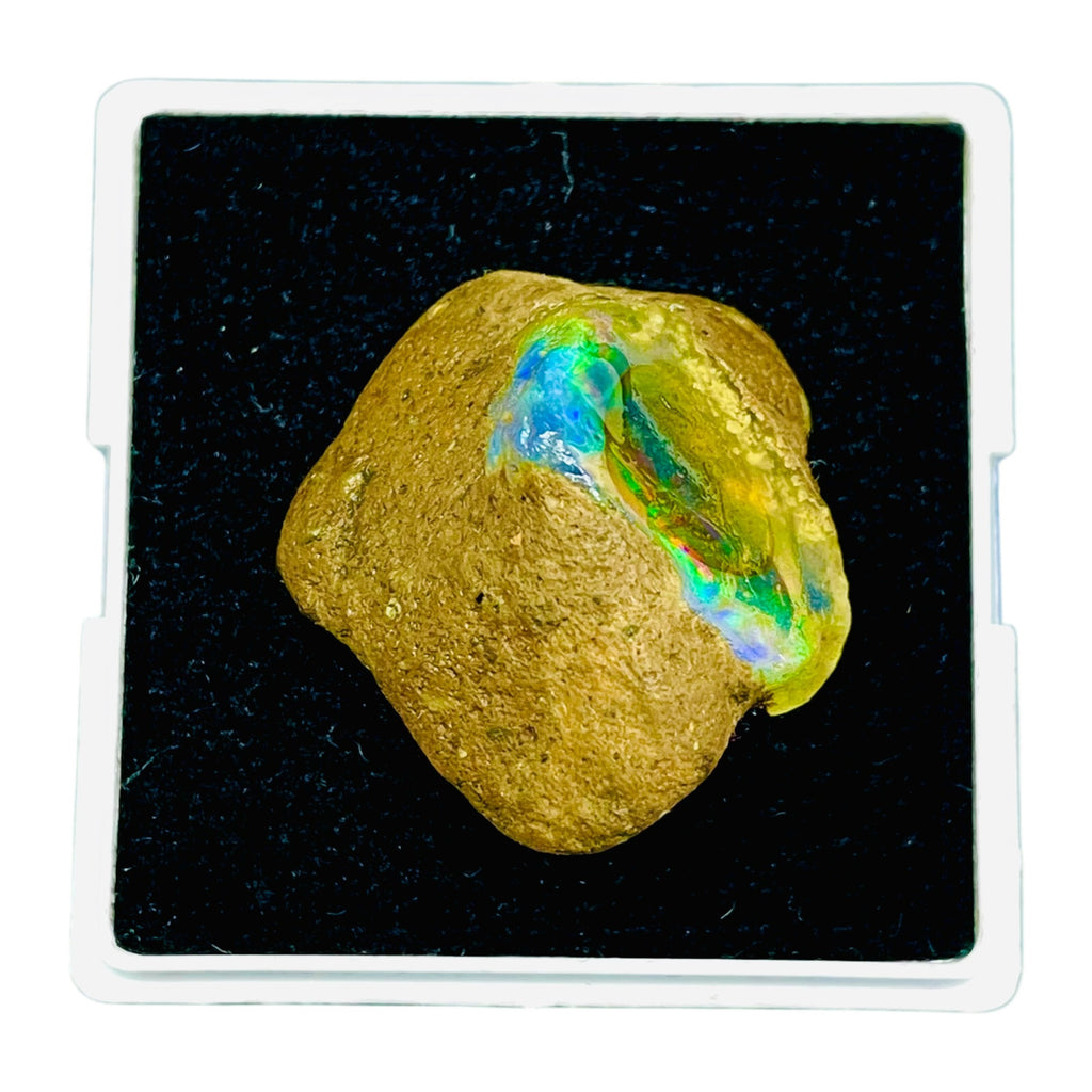 55.20 Cts Natural Ethiopian Opal Rough 32x29mm Huge Multi Fire Loose Gemstone