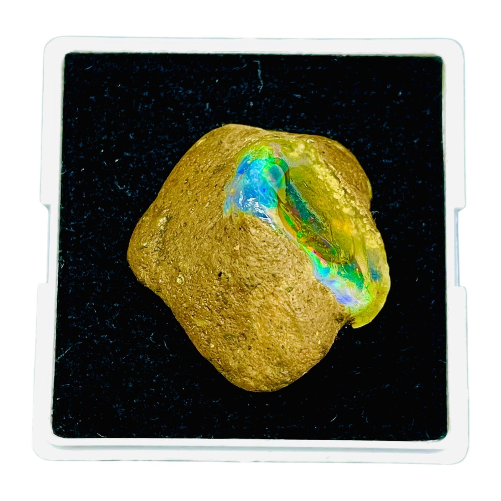 55.20 Cts Natural Ethiopian Opal Rough 32x29mm Huge Multi Fire Loose Gemstone